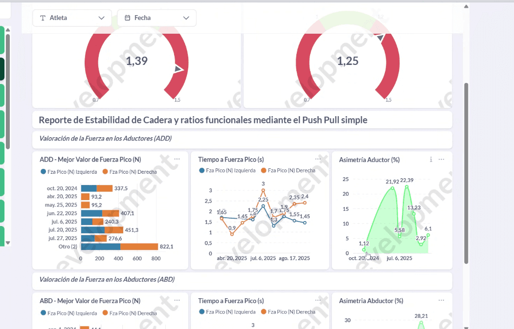Reporte de Estabilidad de Cadera